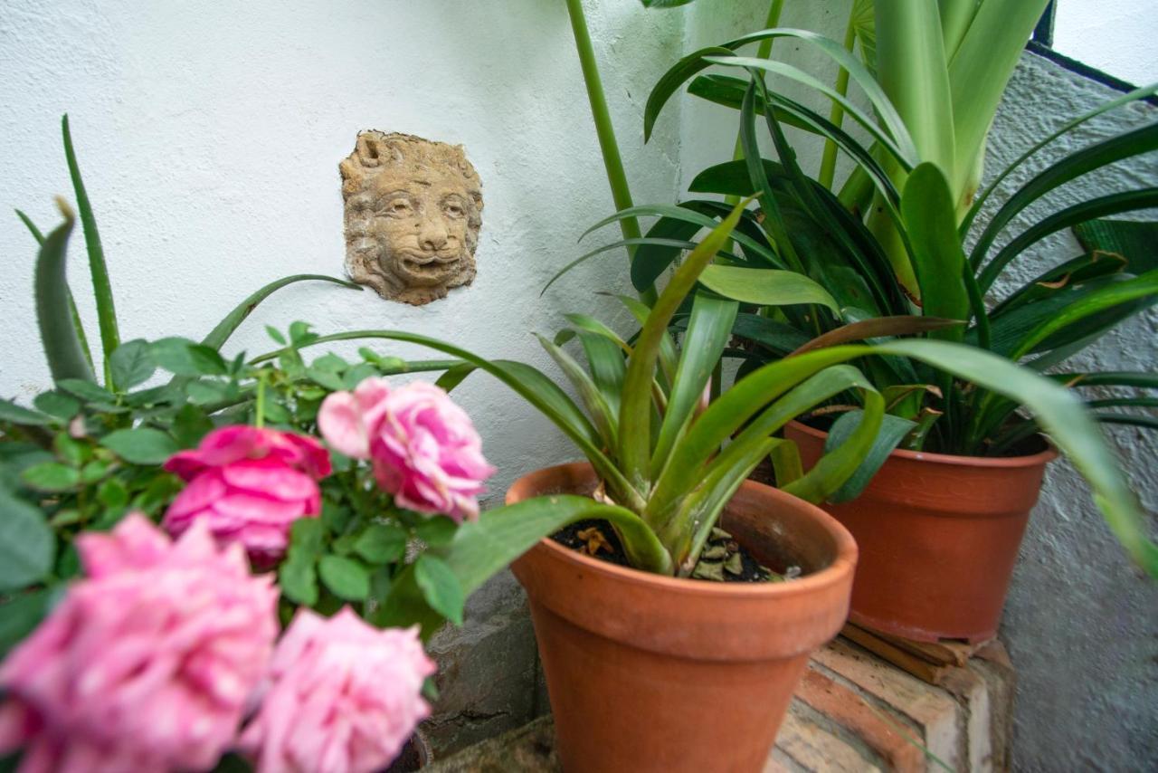 El Patio De Regina Apartman Córdoba Kültér fotó