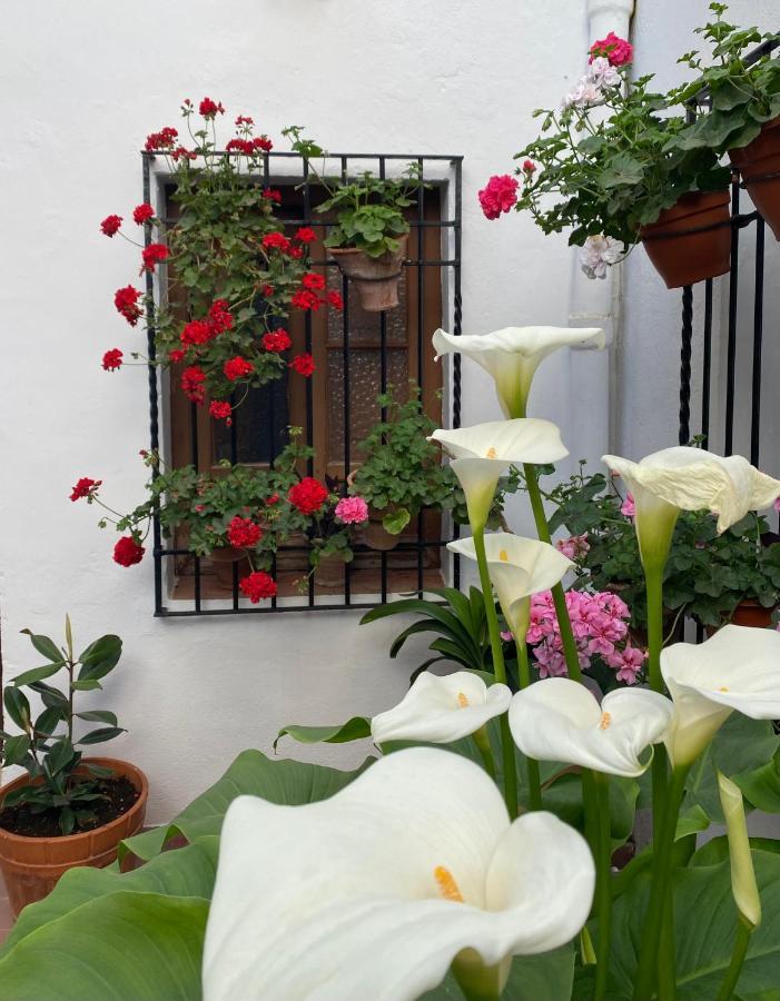 El Patio De Regina Apartman Córdoba Kültér fotó