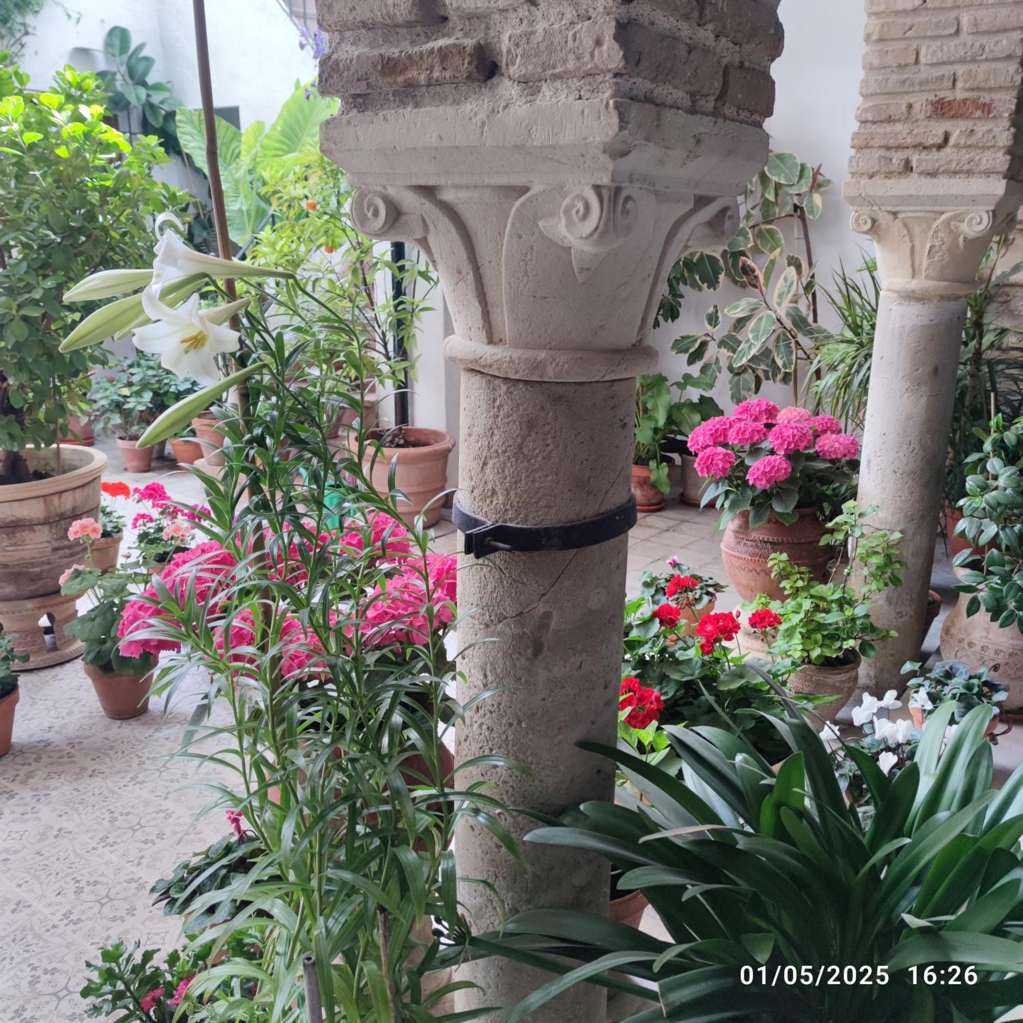 El Patio De Regina Apartman Córdoba Kültér fotó