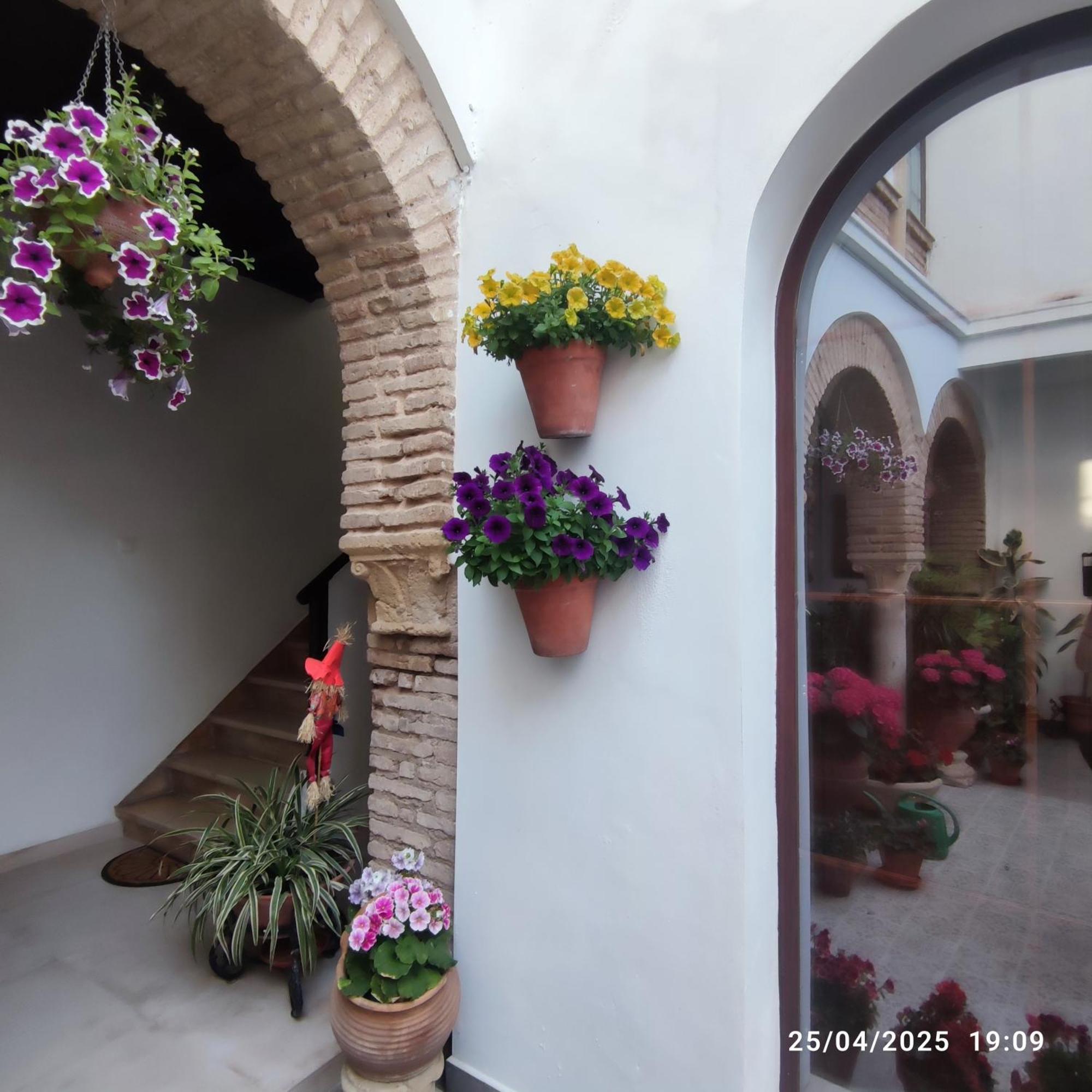 El Patio De Regina Apartman Córdoba Kültér fotó