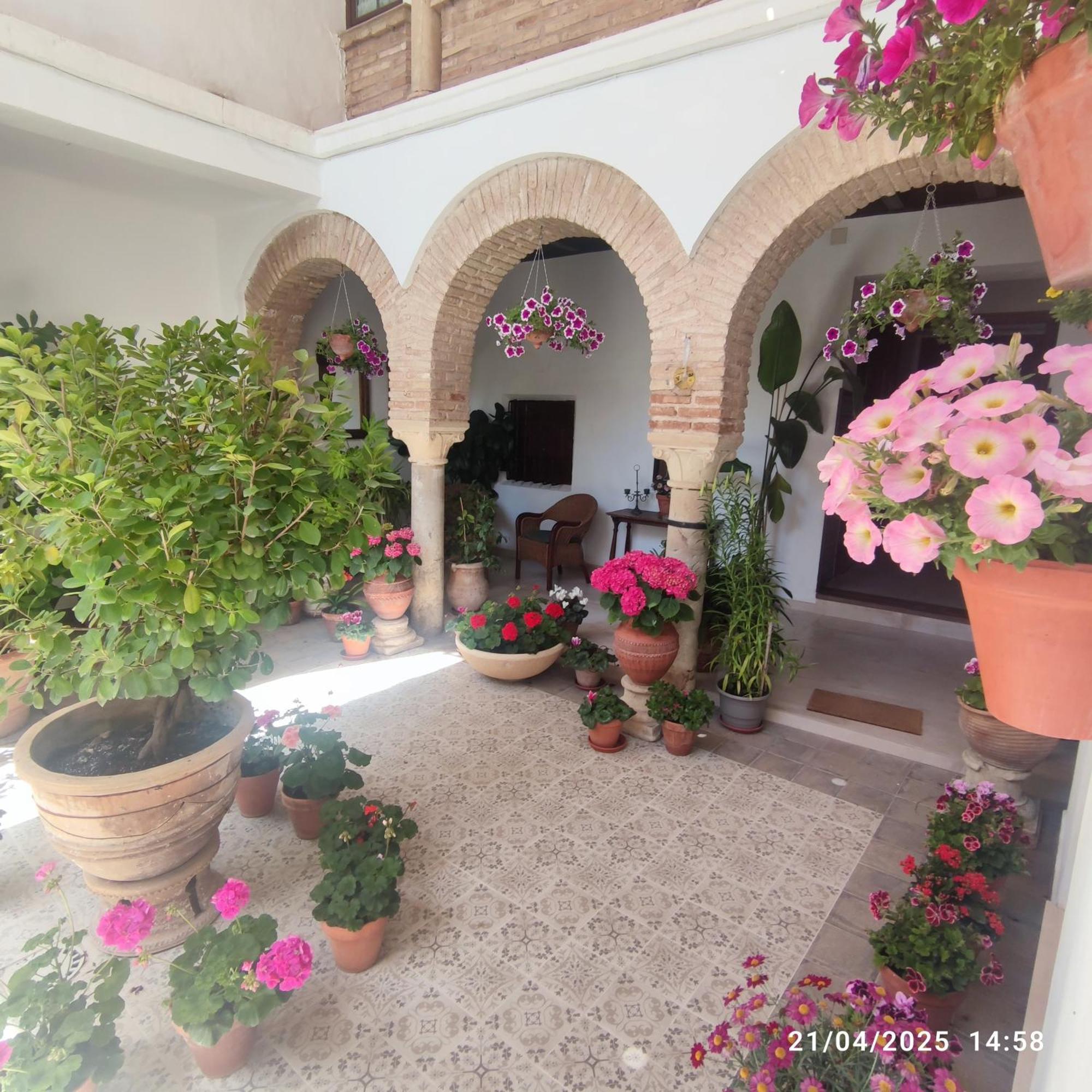 El Patio De Regina Apartman Córdoba Kültér fotó