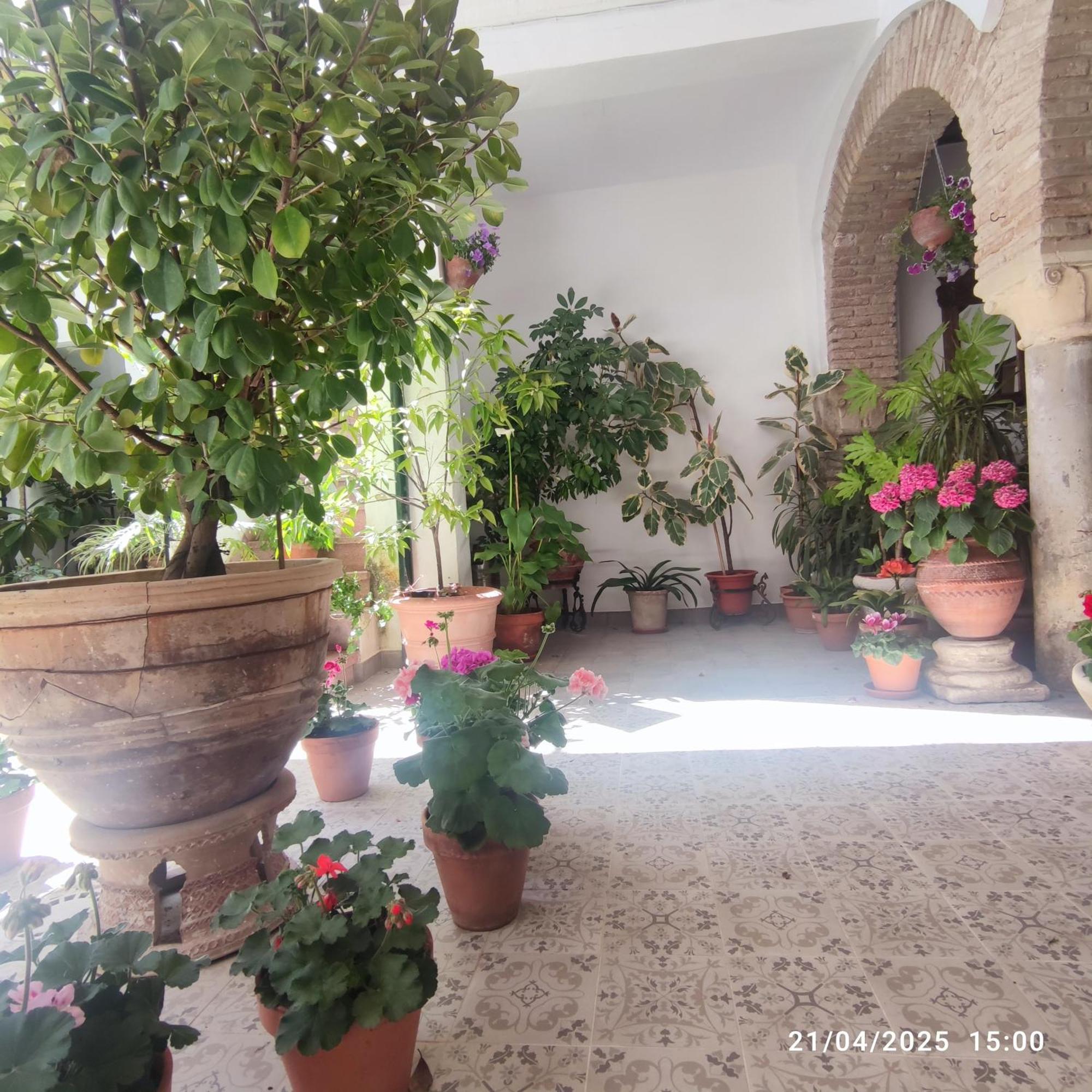 El Patio De Regina Apartman Córdoba Kültér fotó